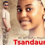 MUSIC: Salim Smart – Tsandauri Karfin Soyayya Ft. Murja Baba